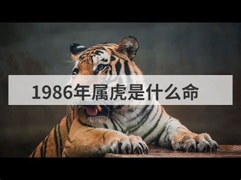 1986虎女
